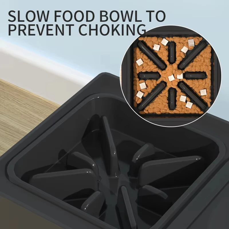Elevated Dog Bowls with Stand