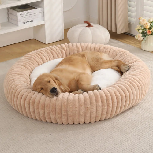 Beds & Comfort