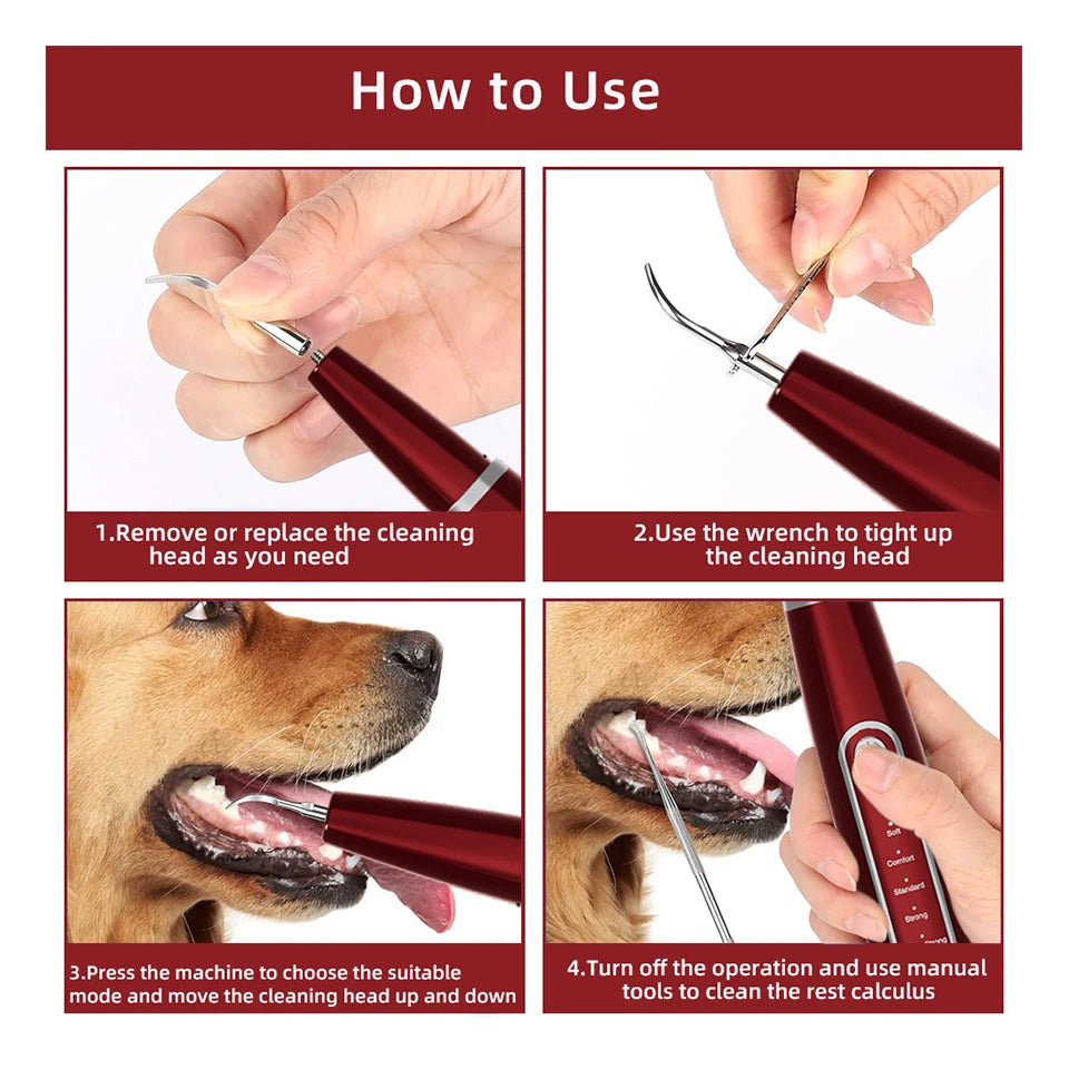 Dog Teeth Cleaning Kit