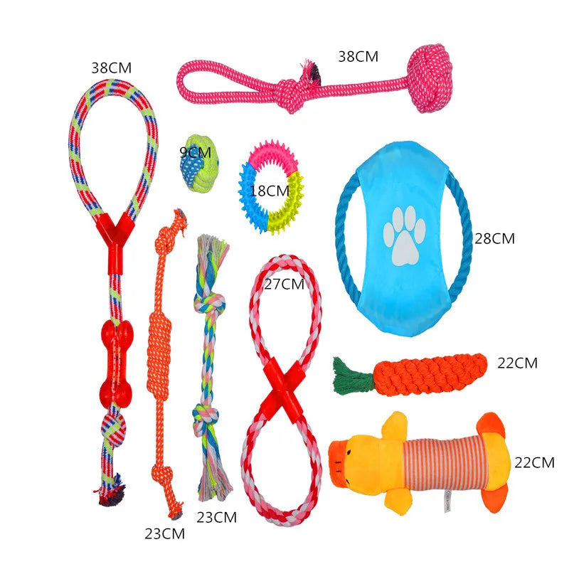 Puppy Teething Toys Set