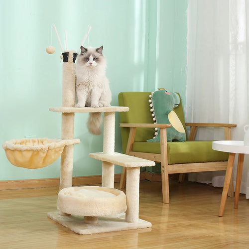 Cats
