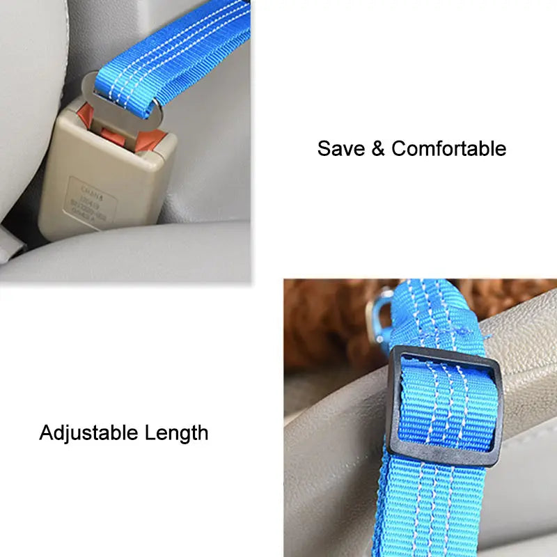 Dog Seat Belt for Car