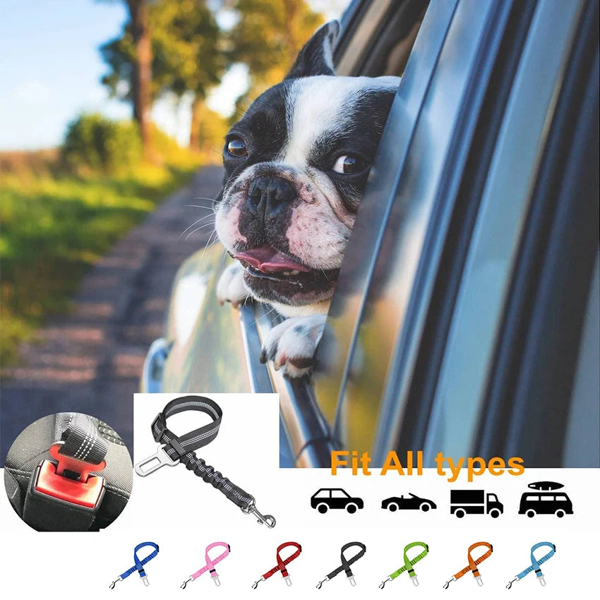 Dog Seat Belt for Car