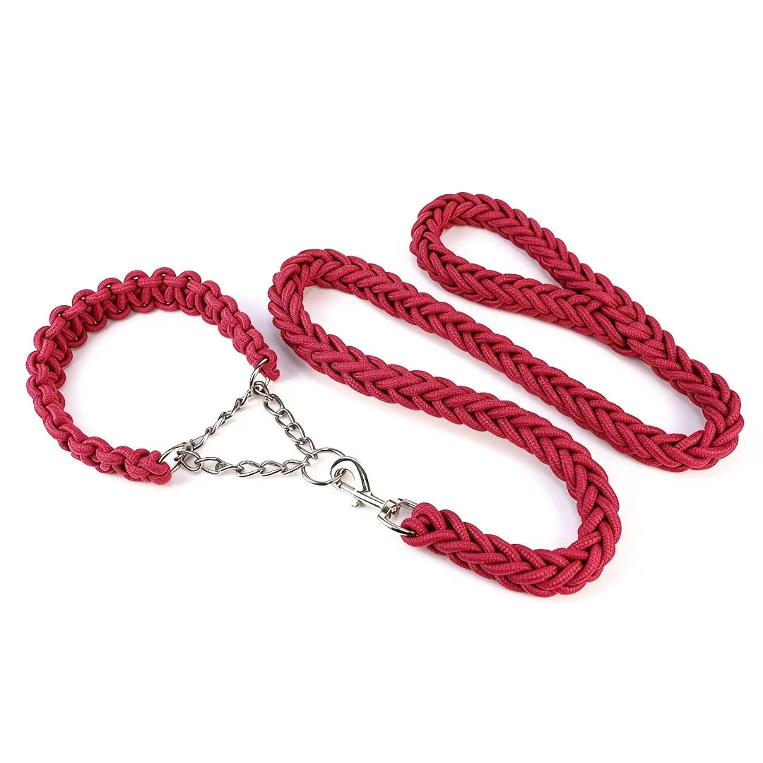 Dog Leash & Collar Set