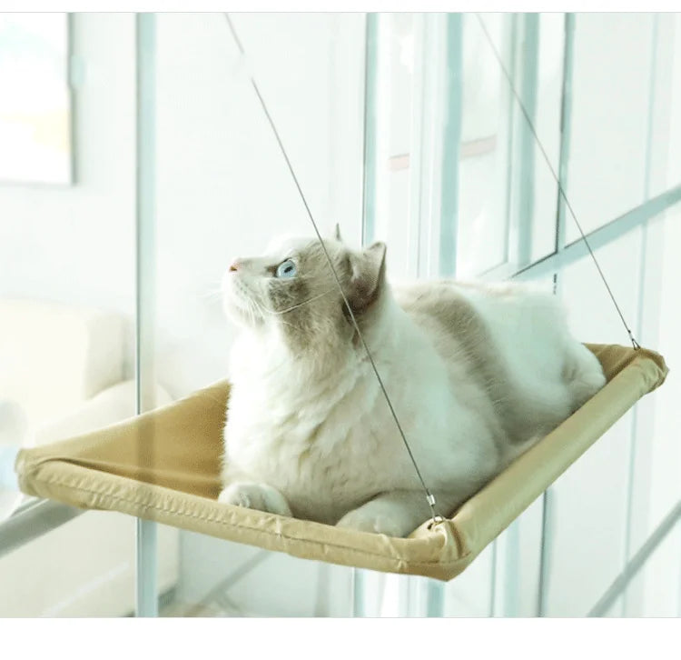 Cat Hammock Wall Perch