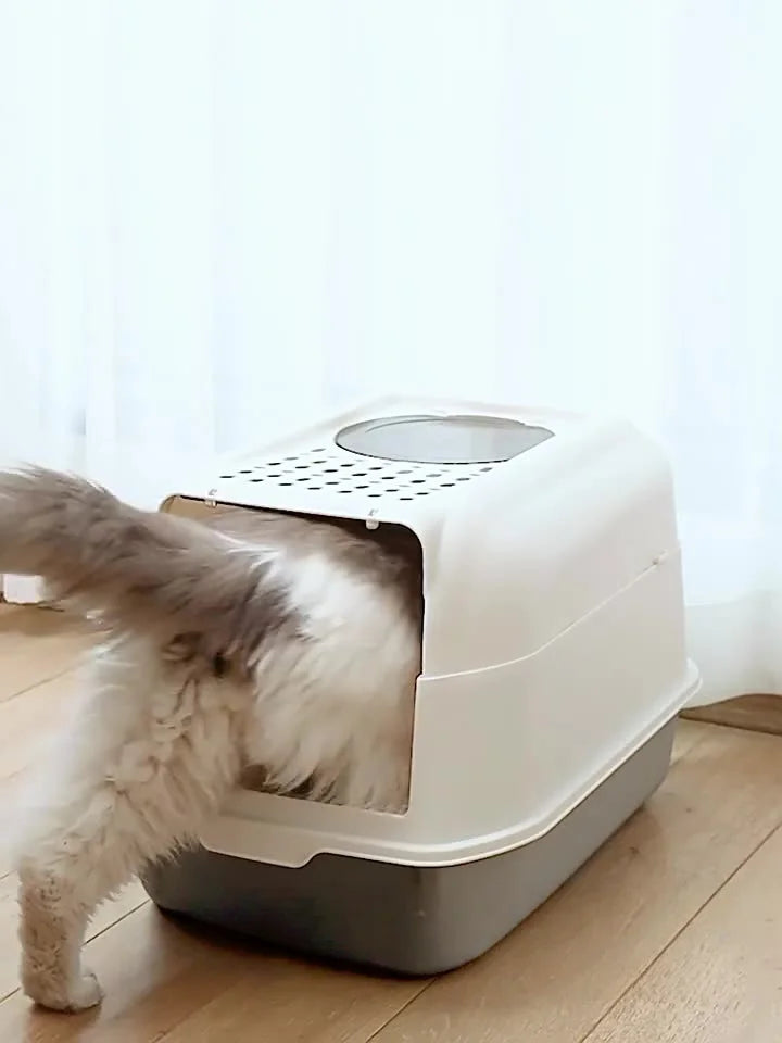 Enclosed Cat Litter Box with Lid