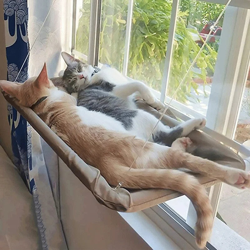 Cat Hammock Wall Perch