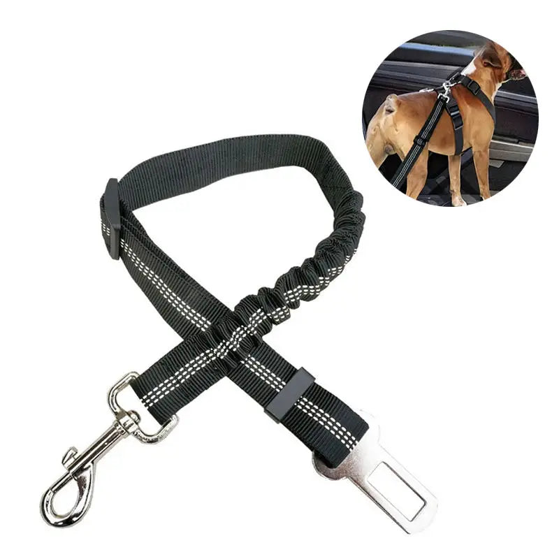 Dog Seat Belt for Car