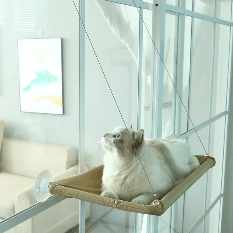 Cat Hammock Wall Perch