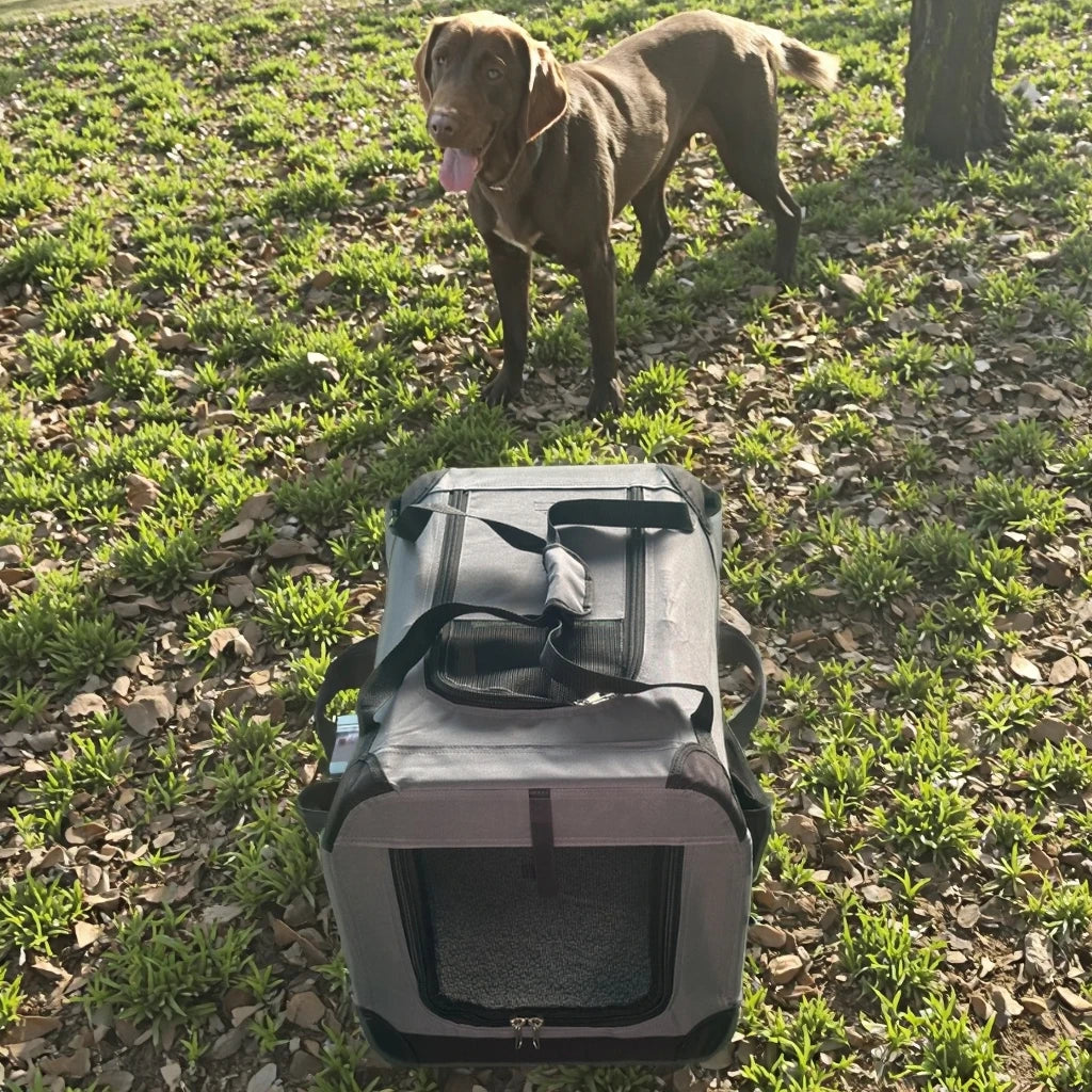 Foldable Pet Carrier & Travel Crate