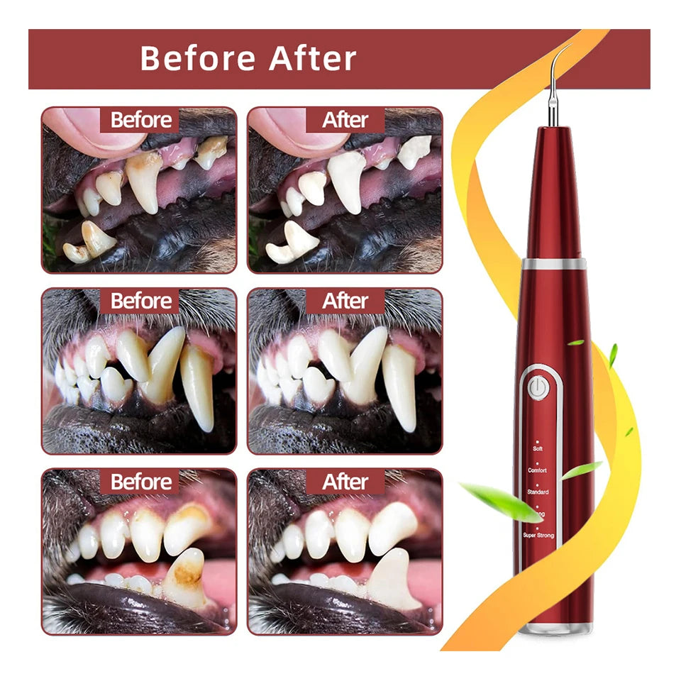 Dog Teeth Cleaning Kit