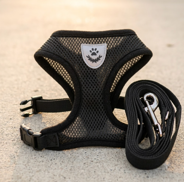 No-Pull Dog Harness with Leash Set – Soft Mesh Padded Vest Harness for Small Dogs, Puppies & Cats, Adjustable Comfort Walking Harness | Pawsquare