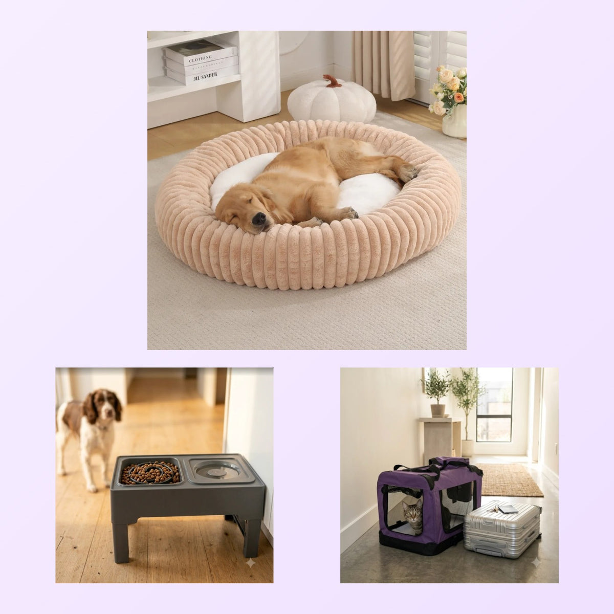 New Puppy Starter Kit: calming donut bed, elevated slow-feeder bowls and a foldable travel carrier