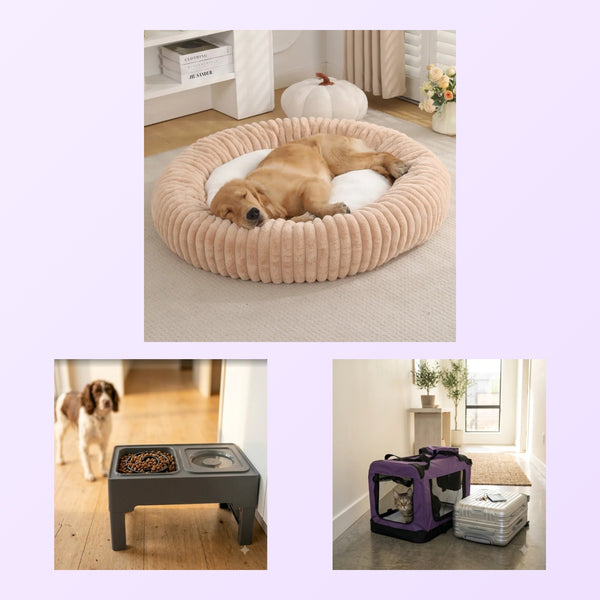 New Puppy Starter Kit: calming donut bed, elevated slow-feeder bowls and a foldable travel carrier